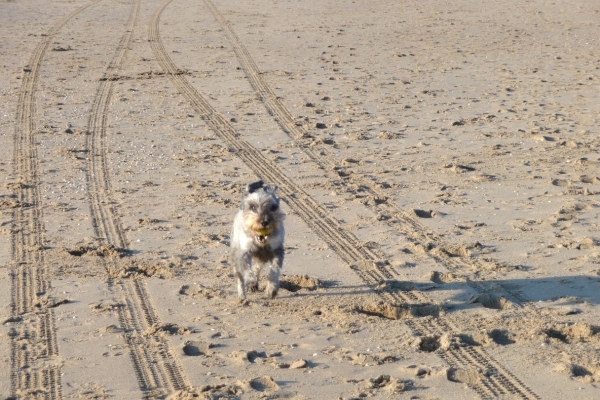 vakantie Kjikduin 2009 086