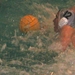 DSCN0792