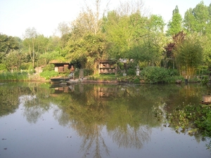 DSCN5923