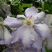 DSCN6248