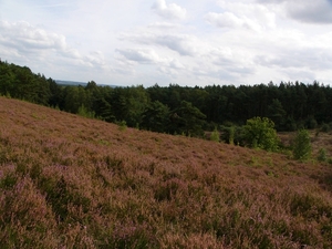 P1130666