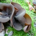 P1130686