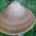 P1130687