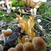 P1130698