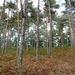 P1130709