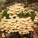 P1130714