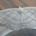 Witte grijsbandspanner