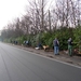 07-02-06 Paddenoverzet 02