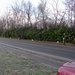 07-02-06 Paddenoverzet 03
