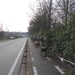 07-02-06 Paddenoverzet 05
