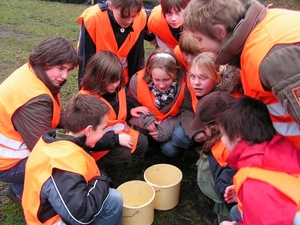 07-02-06 Paddenoverzet 09