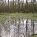07-02-25 Visbeekvallei 28