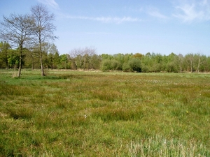 07-04-21 DAGWANDELING BALEN 01