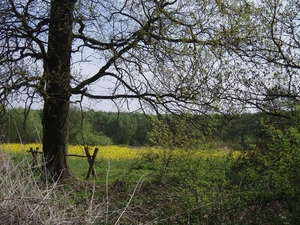 07-04-21 DAGWANDELING BALEN 08