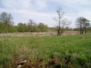 07-04-21 DAGWANDELING BALEN 11