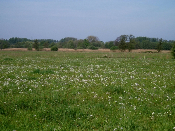 07-04-21 DAGWANDELING BALEN 14