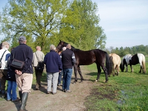 07-04-21 DAGWANDELING BALEN 18