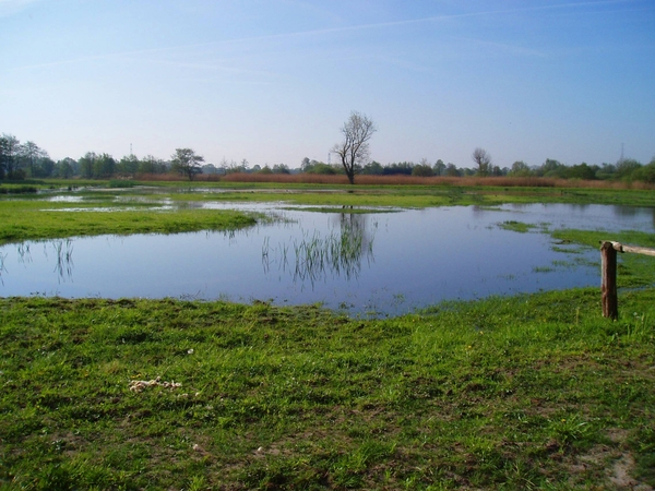 07-04-21 DAGWANDELING BALEN 20