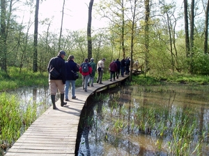 07-04-21 DAGWANDELING BALEN 23