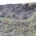 Oeverzwaluwen 02