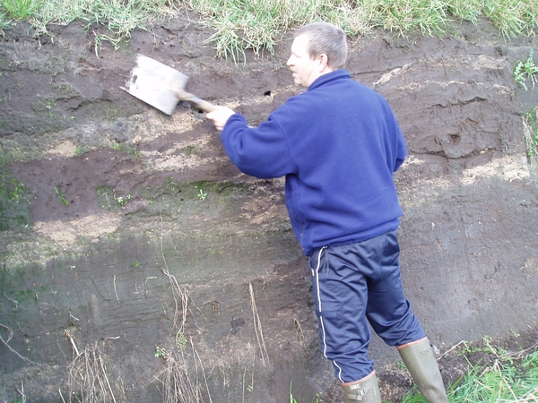 Oeverzwaluwen 07