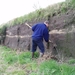 Oeverzwaluwen 08