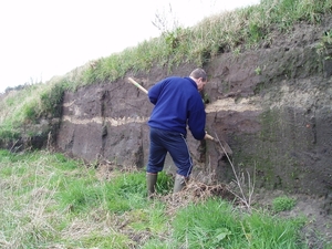 Oeverzwaluwen 08
