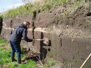 Oeverzwaluwen 09