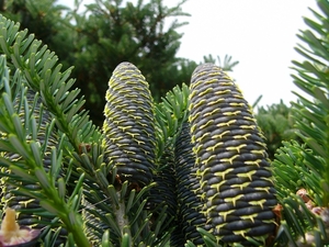 P1150872
