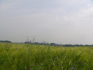 P1150875