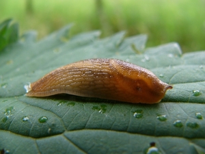 P1160018
