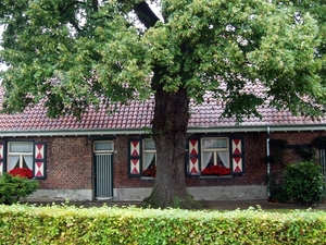 02 Schoonbroek (Kristin VAN GORP)