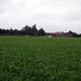 08 Schoonbroek (Kristin VAN GORP)