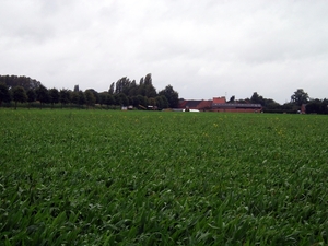 08 Schoonbroek (Kristin VAN GORP)