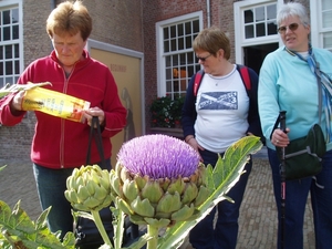Breda-Begijnhof 02(Kristin VAN GORP)