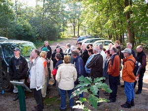 Strijbeekse heide 01