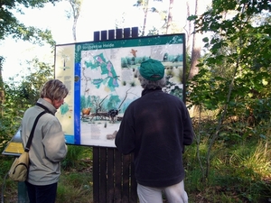 Strijbeekse heide 02