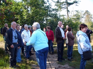 Strijbeekse heide 04