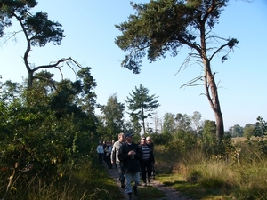 Strijbeekse heide 05