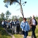 Strijbeekse heide 06