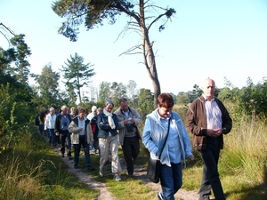 Strijbeekse heide 06
