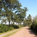 Strijbeekse heide 07
