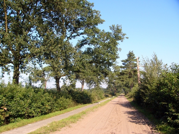 Strijbeekse heide 07