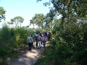 Strijbeekse heide 08