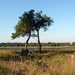 Strijbeekse heide 11