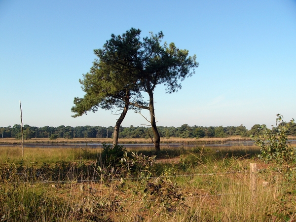 Strijbeekse heide 11