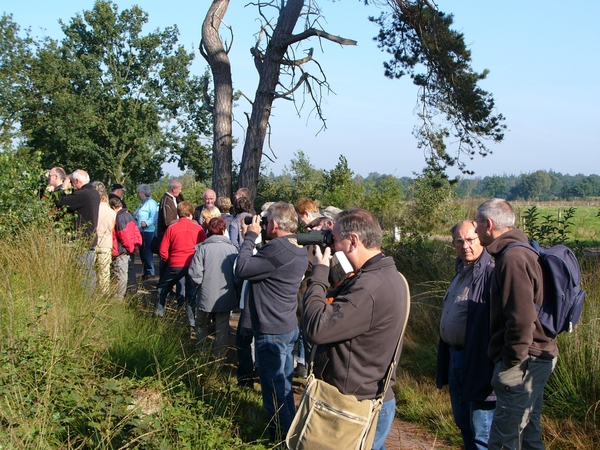Strijbeekse heide 12