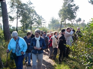 Strijbeekse heide 13
