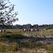 Strijbeekse heide 19
