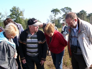 Strijbeekse heide 22
